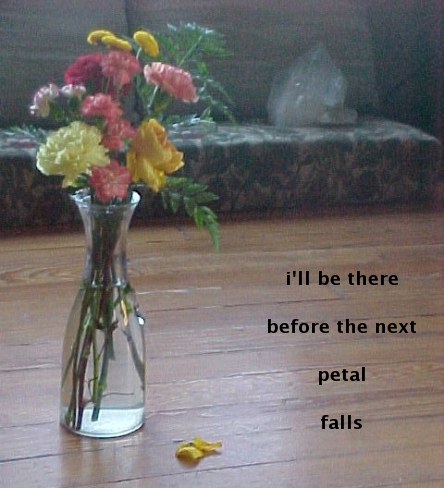flower petals