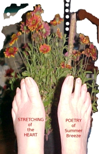stretching of the heart