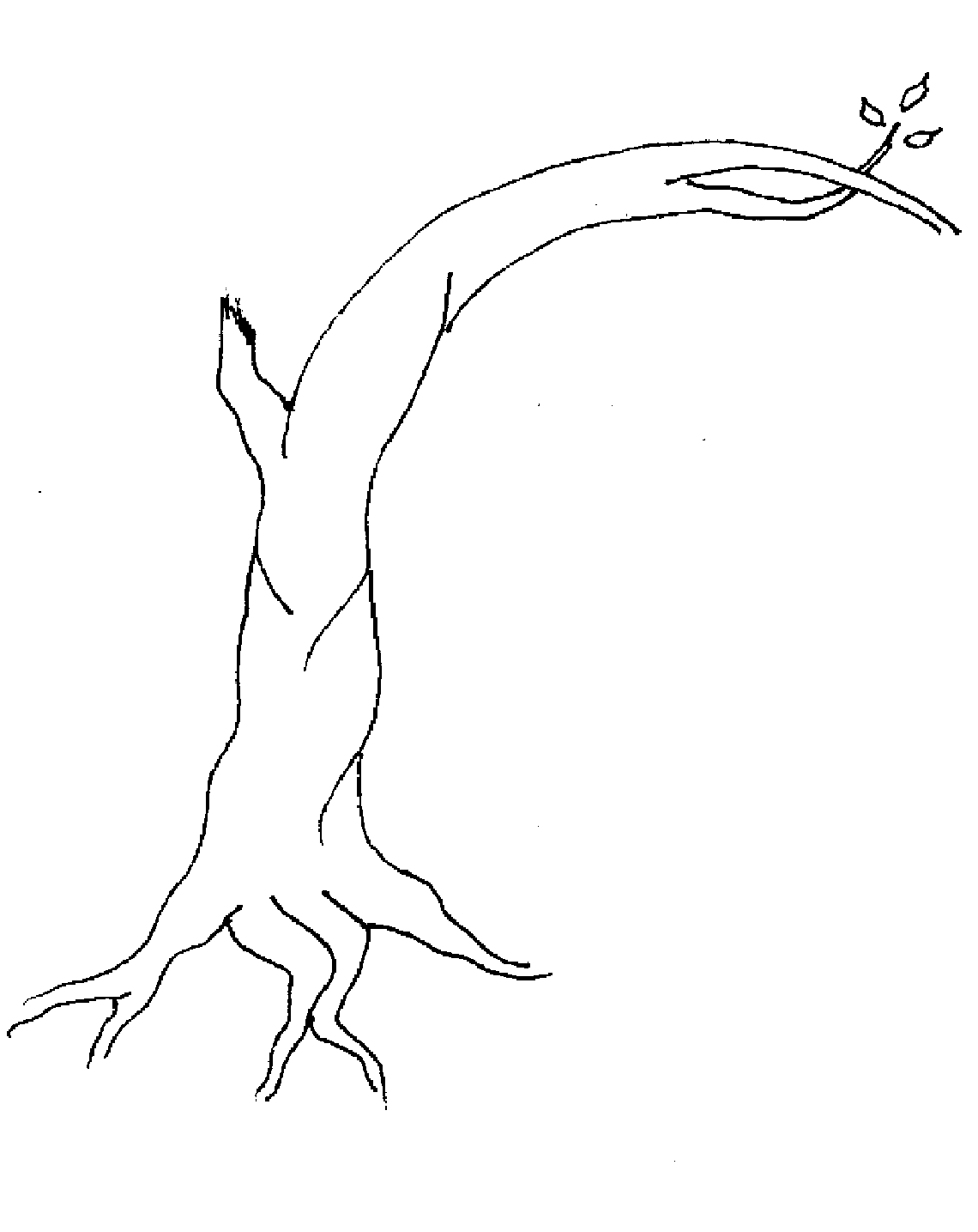 drawing of bare tree with 3 leaves