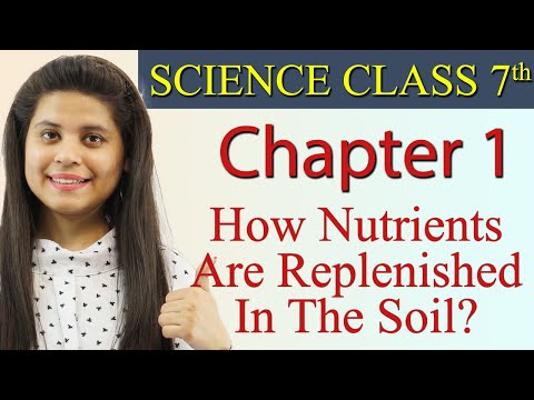 How Nutrients Are Replenished In The Soil? - Chapter 1 - Nutrition in Plants - Class 7 Science