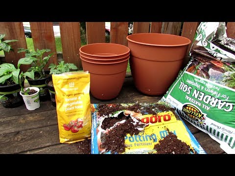 How to Start Your First Container Tomato, Pepper and Herb Garden: All the Steps to Get Started!