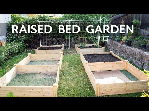 Raised Bed Gardening - How To Start A Garden With Raised Beds