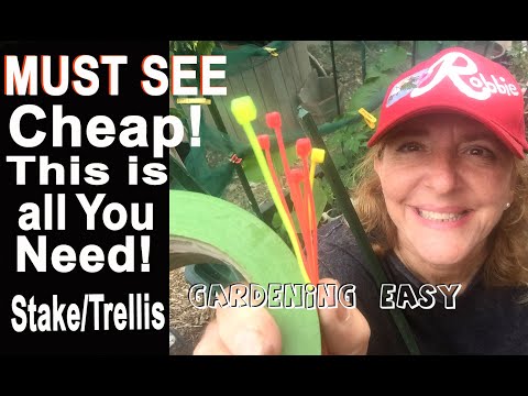 How To Tie Stake Trellis TOMATO Plants CHEAP & EASY This Method Changed my Life To Grow More