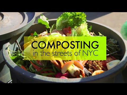 Composting 101: How to compost in NYC