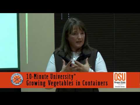 How to Grow Vegetables in Containers