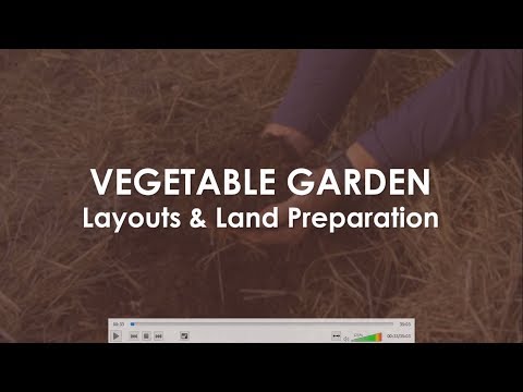 2 Vegetable Garden Layout