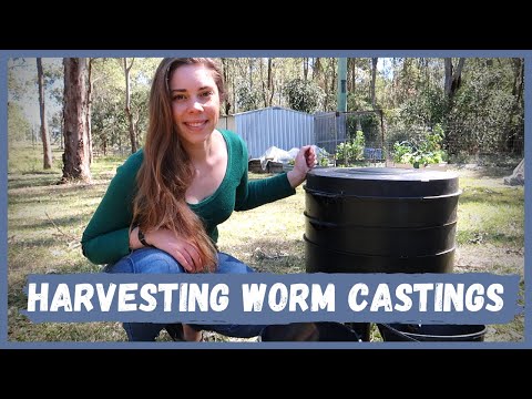 download worm castings how to use