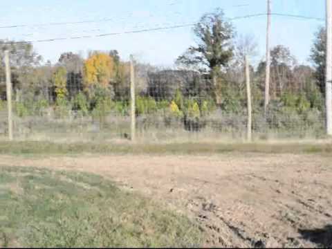 How we replenish our soil  at our tree farm