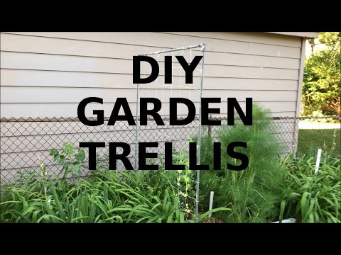 DIY trellis net for vegetable garden