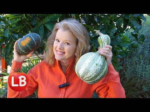 Winter Squash Part 2, Kabocha & Cushaw | Late Bloomer | Episode 19