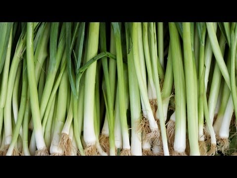 How to Grow Leeks | At Home With P. Allen Smith