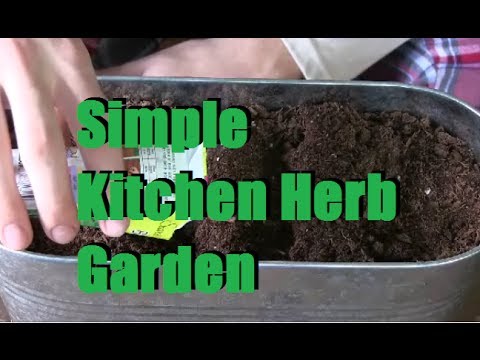 Planting a Simple Windowsill Herb Garden