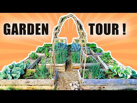 SMALL VEGETABLE GARDEN TOUR OF 2020 - An Unique Square Foot Gardening Layout For Raised garden Beds