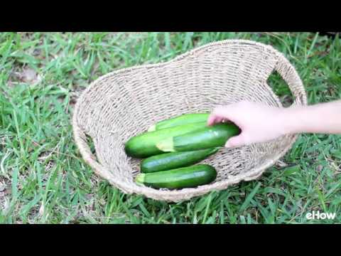 How to Grow Zucchini Vertical