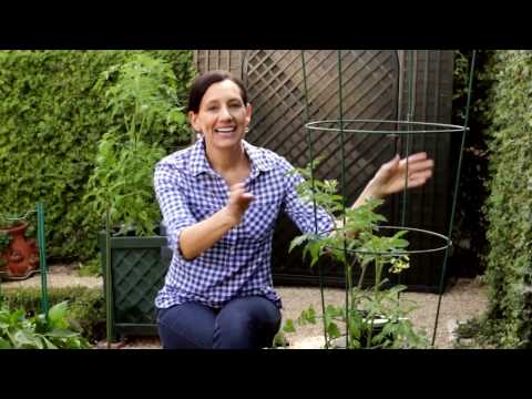 How-To Grow Fruits and Vegetables in Containers | IN BETH'S GARDEN