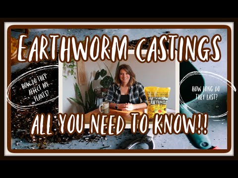 The Benefits of Earthworm Castings for Houseplants//EVERYTHING YOU NEED TO KNOW//And Then Some!