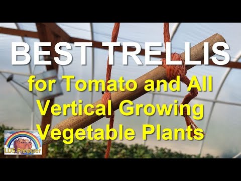 Fast, Easy, Cheap Garden Trellis for Tomato and Vertically Growing Plants