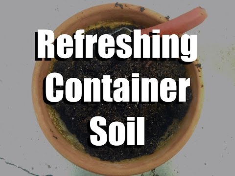 How to Refresh and Re-use Container Soil with Two Simple Ingredients