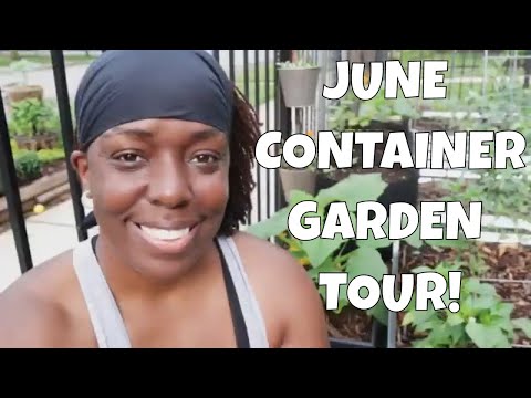 Grow Vegetables in Containers | Container Garden Tour | June