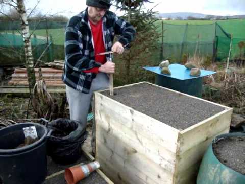 Allotment Diary : How to grow Giant Exhibition  Long Carrots & Parsnips