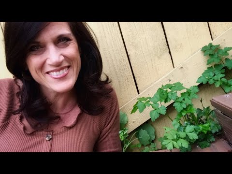 ??LIVE: Tips to Grow 3 Cool Weather Herbs (Dill, Parsley, Cilantro) Inside or Outside (Replay) ????