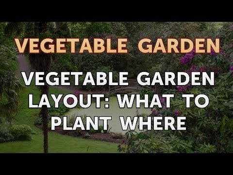 Vegetable Garden Layout: What to Plant Where