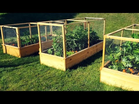 Enclosed Raised Garden Beds - DIY Gardening Project