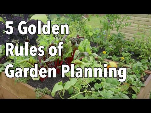 Vegetable Garden Planning Made Simple