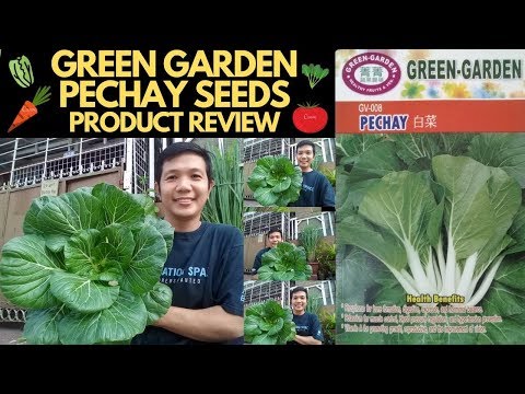 HOW TO PLANT PECHAY (BOK CHOY) - GREEN GARDEN PECHAY SEEDS PRODUCT REVIEW