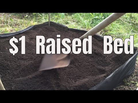 Dollar Store Gardening: Best Garden Bed for $1