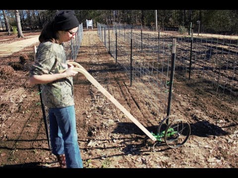 English Peas- Part 1  ~~ Getting the Ground Ready