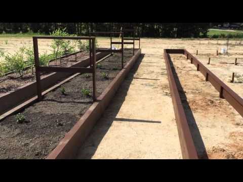 DIY Raised Bed Gardening - Our Design