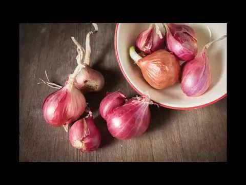 How to Plant Shallots
