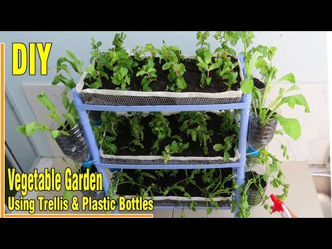 Amazing, How to make Vegetable Garden Using trellis and Plastic Bottles