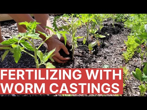 Slow Release Organic Fertilizer with Worm Castings | Sustainable Agriculture