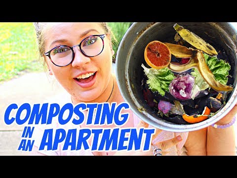 Composting in an Apartment - Tools, Tips & Alternatives