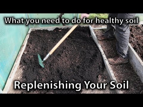 Replenishing Your Garden Soil for Vegetable Abundance