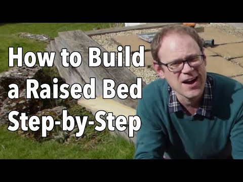 How to Build a Raised Bed Step-by-Step