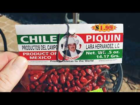 Growing Chile Piquin Peppers