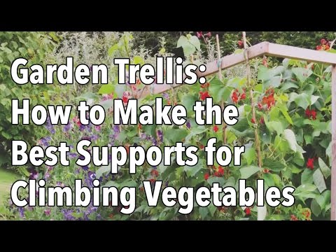 Garden Trellis - How to Make the Best Supports for Climbing Vegetables