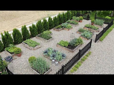 My Vegetable Garden Layout & Tour! ?????????// Garden Answer