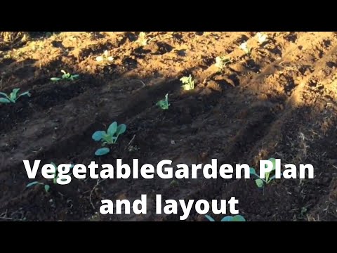 How to layout and design your vegetable garden - challenge