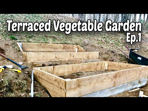 How to Make Terraced Raised Beds for Vegetable Gardening - E.1