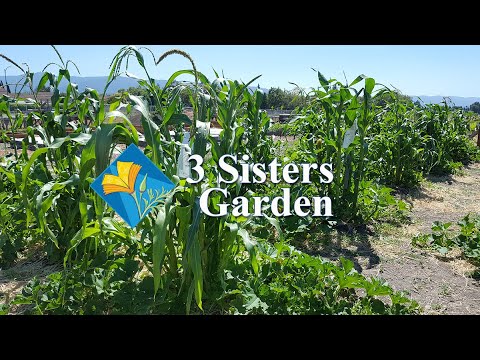 3 Sisters Garden