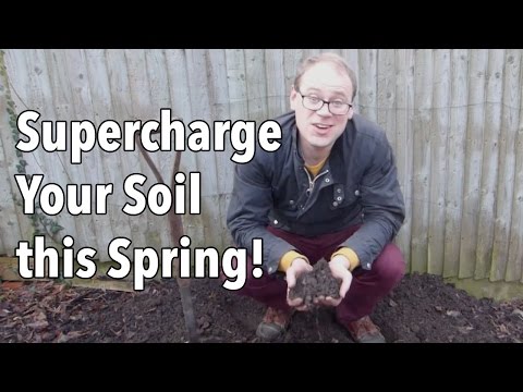 Enriched Garden Soil - Supercharge Your Soil This Spring!