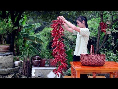 How to Grow Giant Chili Peppers from Seeds in 100 Days