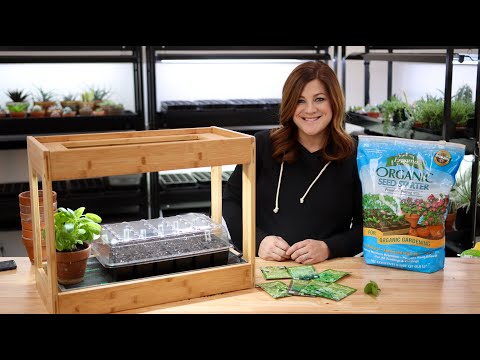 Planting Herb Seeds + Indoor Herb Growing Tips! ???? // Garden Answer