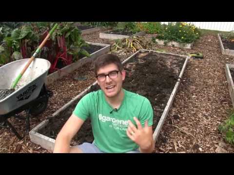 How to Properly Re-Mineralize the Garden For Spring