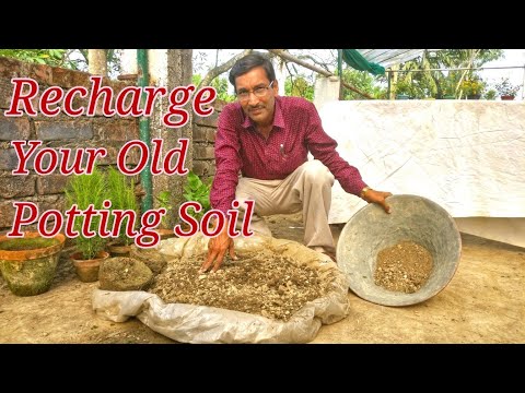 How to Revitalize your Old Potting Soil. The Total Procedure.