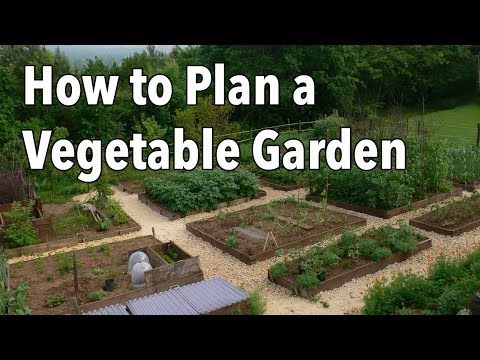 How to Plan a Vegetable Garden: Design Your Best Garden Layout